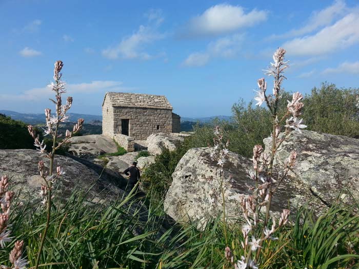 Luogosanto, il borgo sacro medievale nel cuore della Gallura